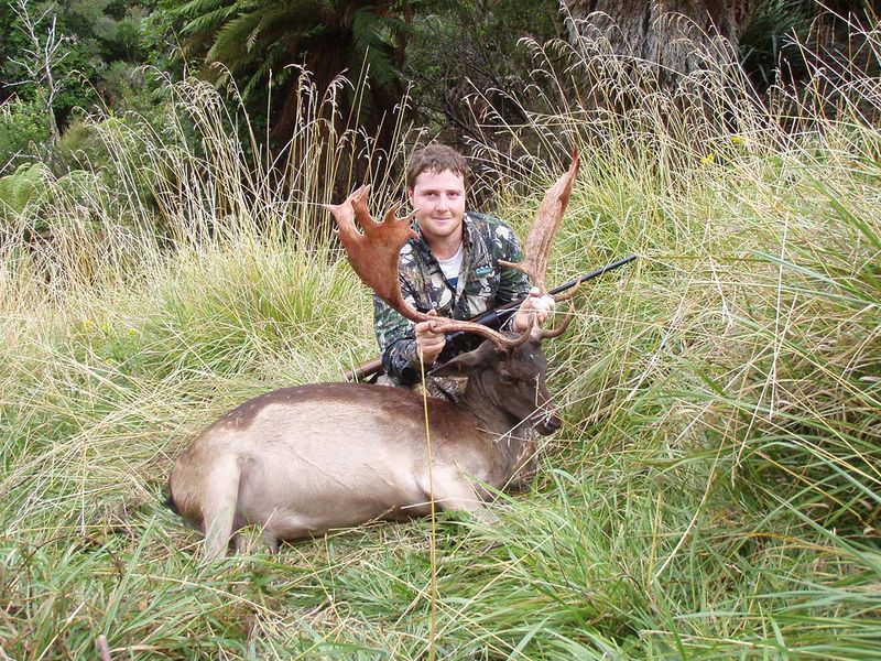 new zealand deer hunting tours