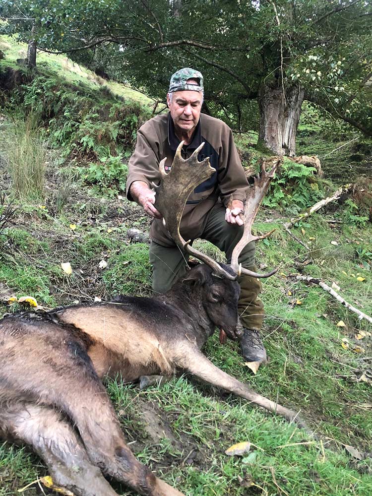 Fairmead Hunting Experience Fallow Stag trophy head