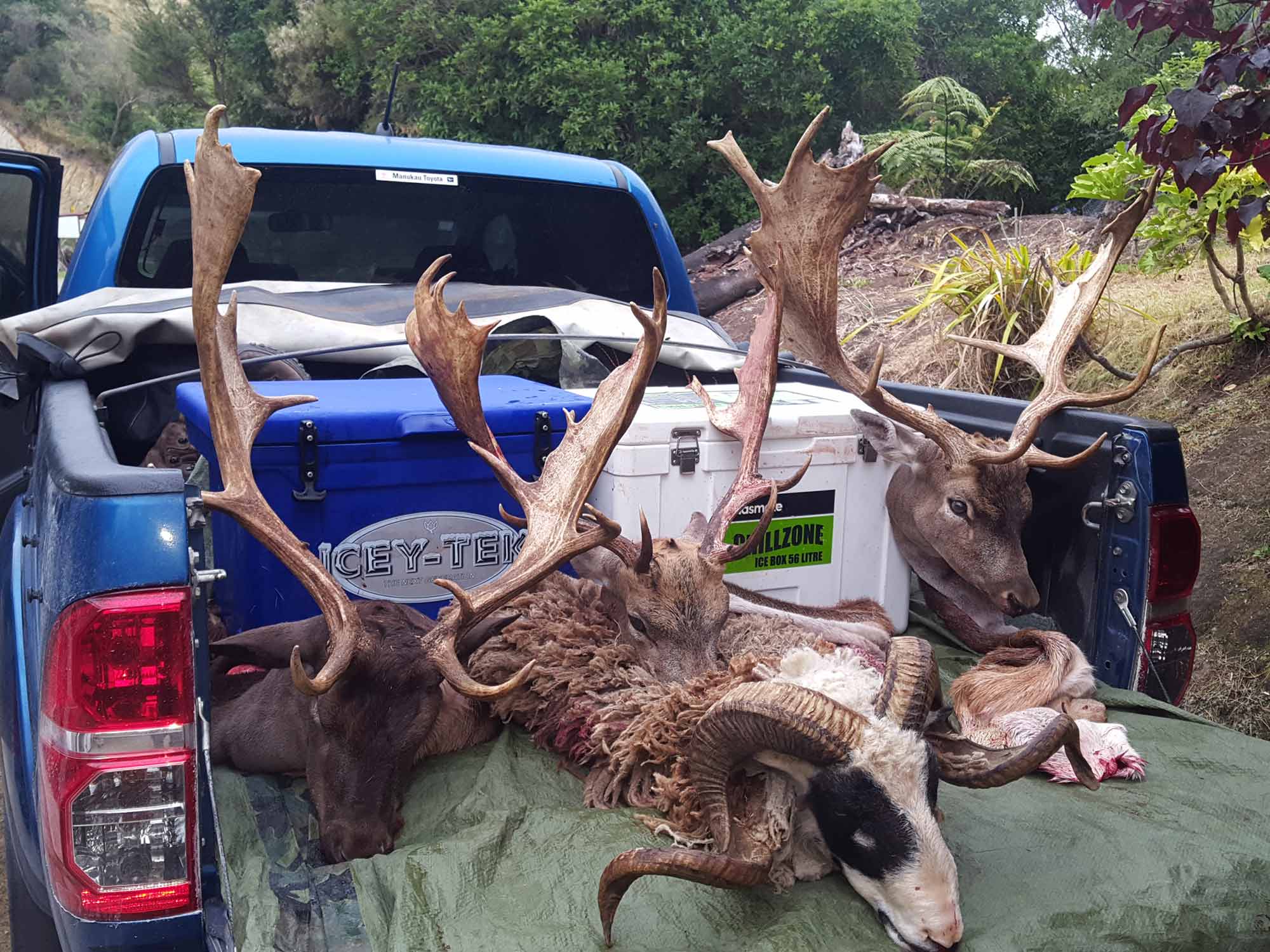 Fairmead Hunting Experience Guided Hunt Packages