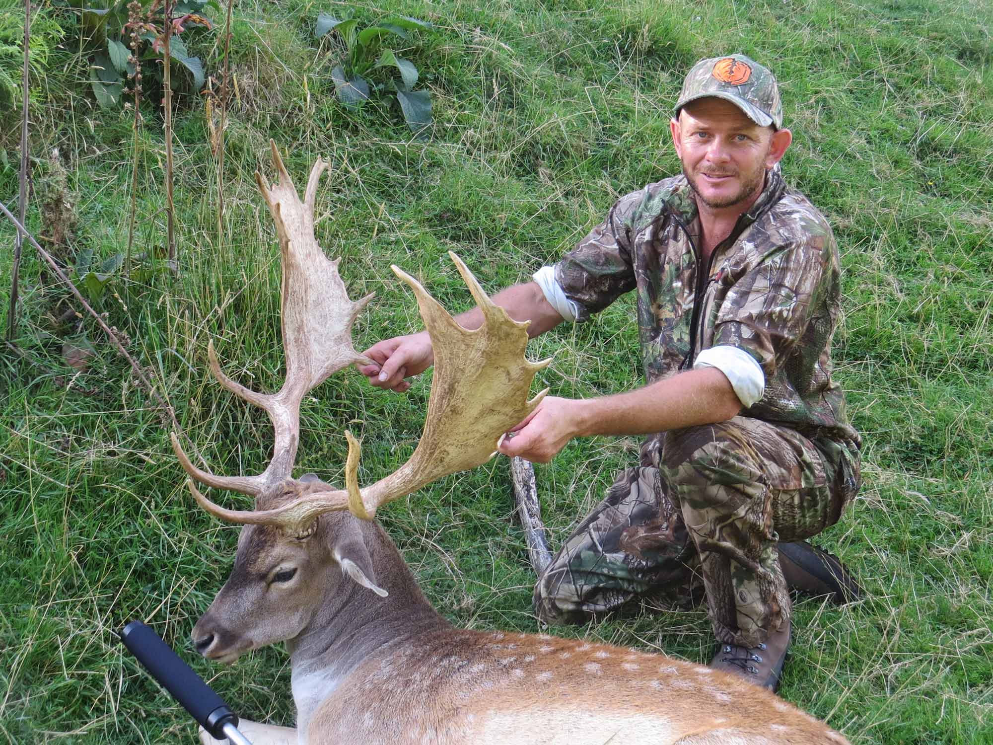 Fallow deer hunting package at the Fairmead Hunting Experience